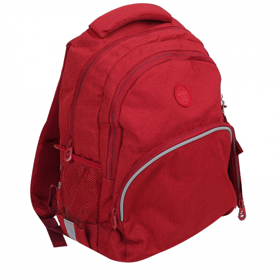 Рюкзак спинка эргономичная, 2 отделения, 38*26*12 см, ключница, красный Grizzly RG-160-11