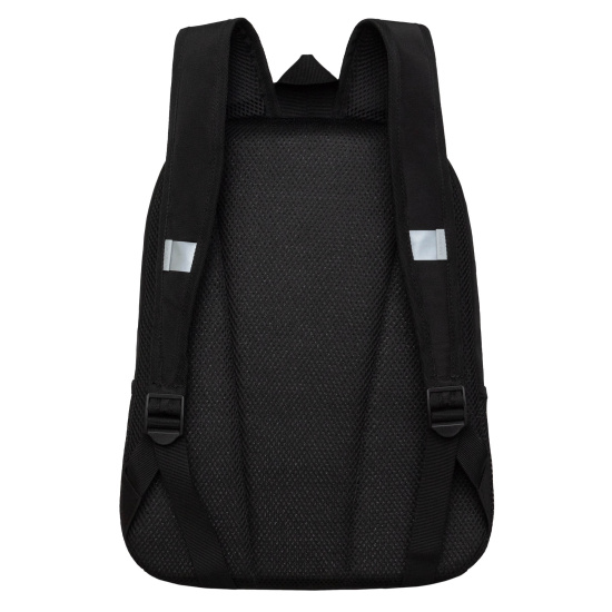 Рюкзак спинка эргономичная, 2 отделения, 38*30*14 см, черный Grizzly RB-451-2