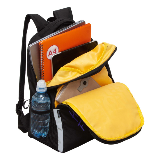 Рюкзак спинка эргономичная, 2 отделения, 38*30*14 см, с брелоком, черный Grizzly RB-451-7