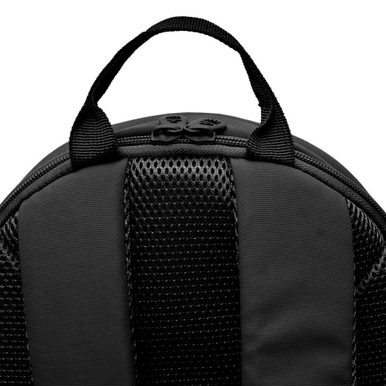 Рюкзак спинка эргономичная, 2 отделения, 38*26*14 см, с брелоком, черный Grizzly RD-449-1