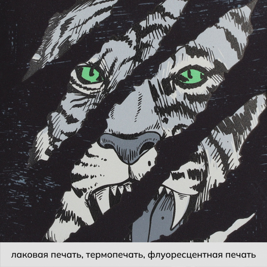 Ранец, спинка эргономичная, 1 отделение, 35*27*13 см, ERGO Light, Tiger, КОКОС, 210590Р