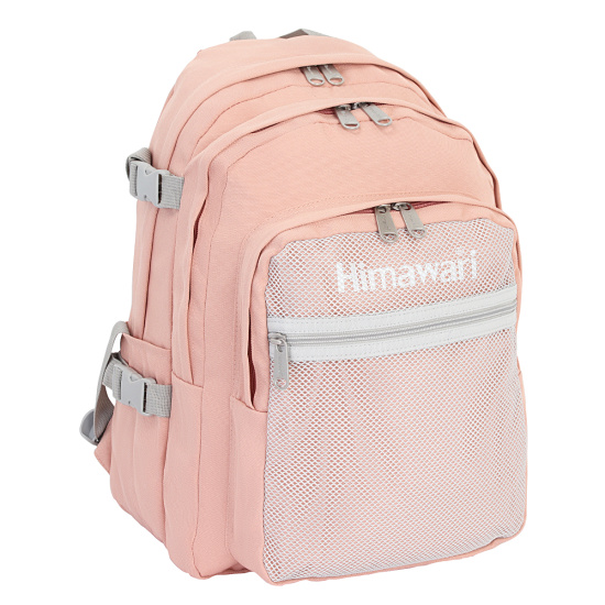 Рюкзак спинка мягкая EVA, 2 отделения, 30*42*16 см, розовый HIMAWARI 210527