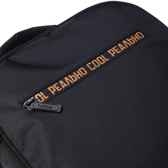 Рюкзак спинка мягкая EVA, 41*30*15 см, 2 отделения, черный Реально крутой Капибара Basic Style Hatber NRk_03054