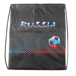 Сумка для сменной обуви 1отд 40*48 Россия СДС-53