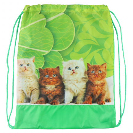 Кот в мешке. Рюкзак 3d рыжий паттер one. Рыжий кот в пакете. Кошачьи подарки. Мешок рыжий кот.