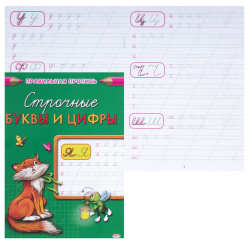 Прописи А5 8л Каллиграфическая Строчные буквы и цифры ПР-2999