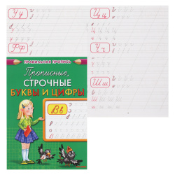 Прописи А5 8л Каллиграфическая Прописные, строчные буквы и цифры ПР-2998