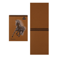 Блокнот для пастели А5 (140*200) 30л 160г/м2 Premium Cinnamon БРr/С дв спир корица