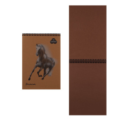 Блокнот для пастели А4 (210*297) 30л 160г/м2 Premium Cinnamon БРr4/С дв спир корица